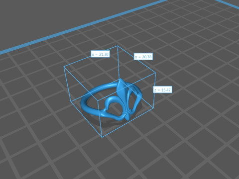 Ring 3D Print Model