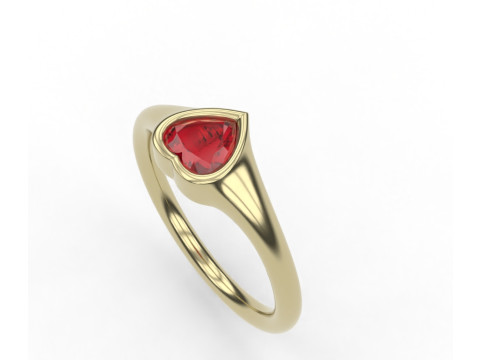Ring 3D Baskı Modeli