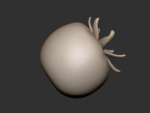 Tomaat 3D printmodel