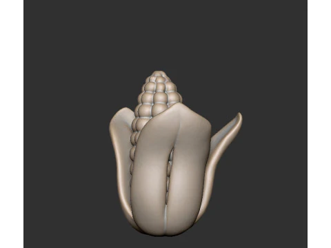 Corn 3D Model