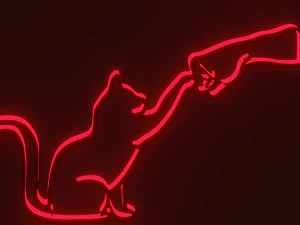 CAT - RGB sul muro Modello 3D