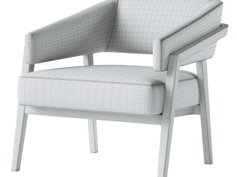 Flynn Armchair Modello 3D