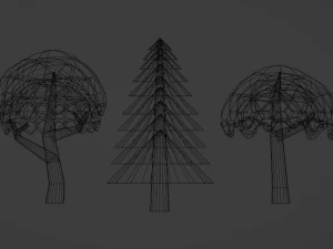 Bomen 3D Model