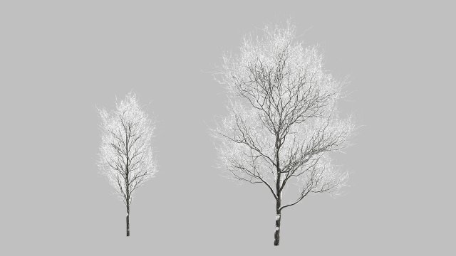 Snow Covered Trees 3D Модель .c4d .max .obj .3ds .fbx .stl .blend