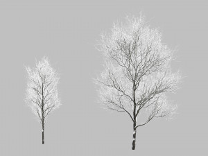 Snow Covered Trees Modelo 3D