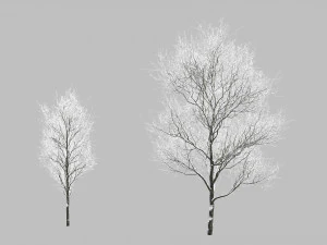 Заснеженные деревья 3D Модель