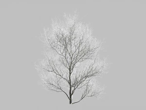 बर्फ़ से ढके पेड़ 3D मॉडल