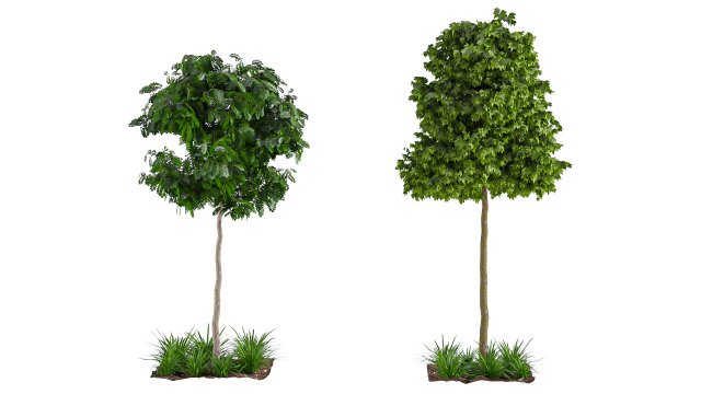 Trees 001 3D Model .c4d .max .obj .3ds .fbx .stl .blend 