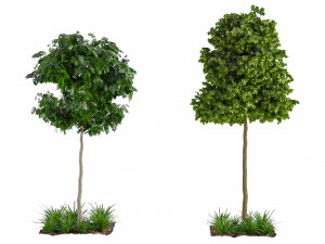 Trees 001 Modelo 3D