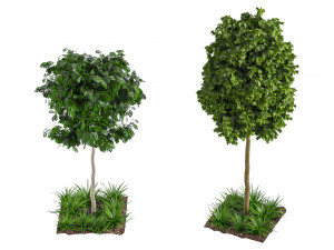 Trees 001 3D Model