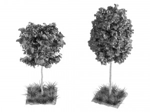 Trees 001 3D Model