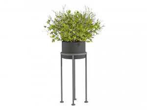 Indoor Plants 010 3D Model