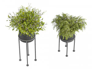 Indoor Plants 010 3D Model