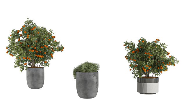 Outdoor Plant Set 002 3D Модель .c4d .max .obj .3ds .fbx .stl .blend