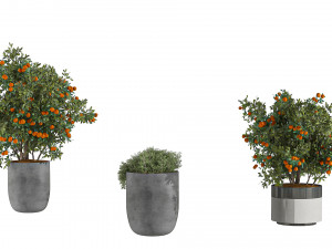 Outdoor Plant Set 002 3D-Modell