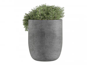 Outdoor Plant Set 002 3D Model