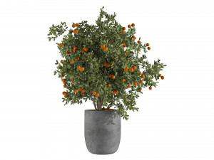 Outdoor Plant Set 002 3D Модель