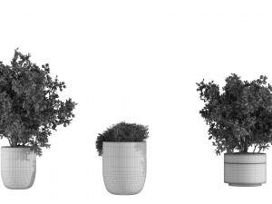 Outdoor Plant Set 002 3D Модель