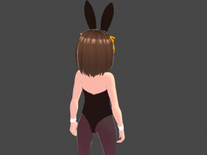 Model Haruhi s Bunny mod 3Dモデル
