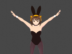 Model Haruhi s Bunny mod 3Dモデル