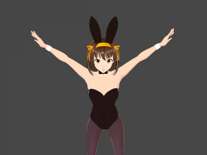 Mod Kelinci Model Haruhi Model 3D