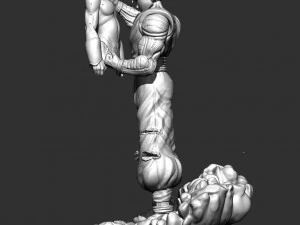 Picolo vs Majibuu 3D Model