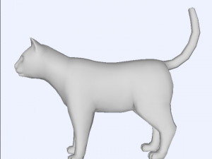 3D cat Modelo 3D