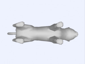 3D cat 3D Model