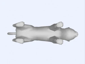 3D cat 3D Model