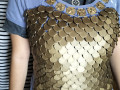 A Dragon Scale 3D Print Model