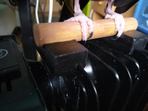 तोता पैर रेडिएटर टेबल 3D प्रिंट मॉडल