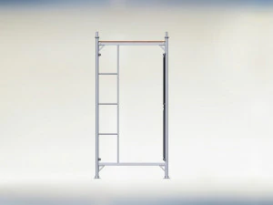 Scaffolding Model 3D Model