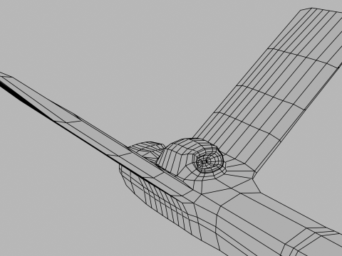 Swallow Modello 3D