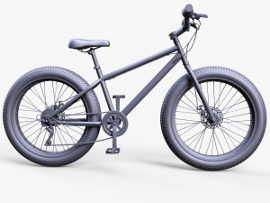 Bicycle Road Race 3D Model