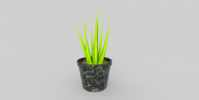 Potted Plant 3D Model .c4d .max .obj .3ds .fbx .stl .blend 