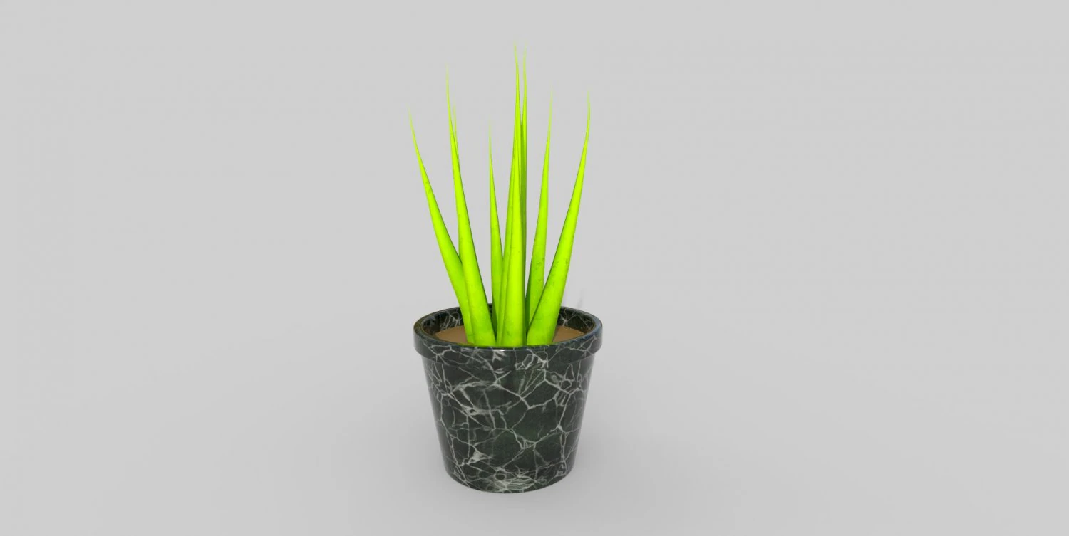 Plante en pot Modèle 3D .c4d .max .obj .3ds .fbx .stl .blend 