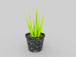 Potted Plant Modelo 3D