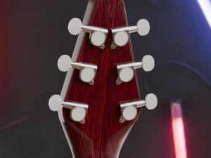 RED SPECIAL GUITAR 3D Model