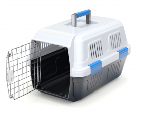 Pet Carrier 3D Model
