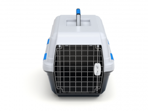 Pet Carrier 3D Model