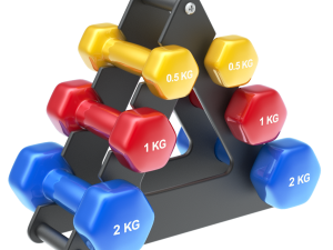 Fitness Weights Stack with Fitness Weights Modèle 3D