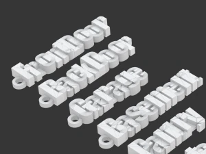 Printable House Locks Keychains 3D Print Model