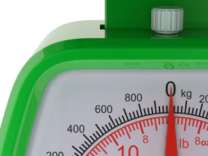 Kitchen Scale 3D Model