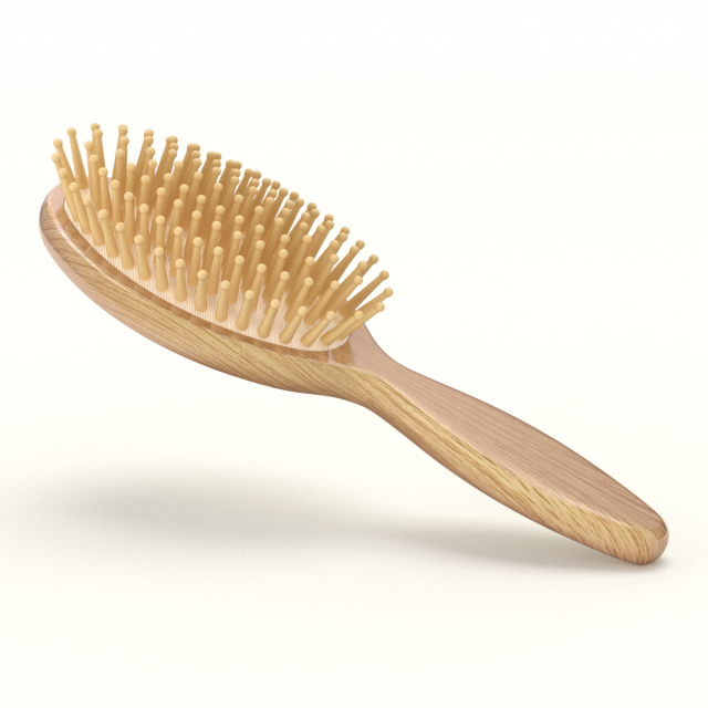 Hairbrush 3D Model .c4d .max .obj .3ds .fbx .stl .blend 