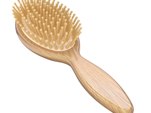 Hairbrush 3D Model