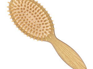 Hairbrush 3D Model