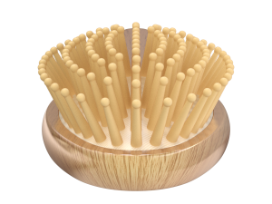 Hairbrush 3D Model