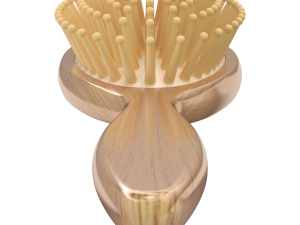 Hairbrush 3D Model