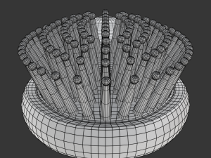 Hairbrush 3D Model