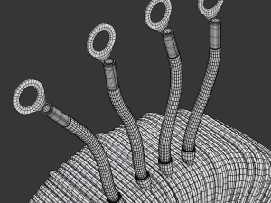 Toroidal Transformer Modelo 3D